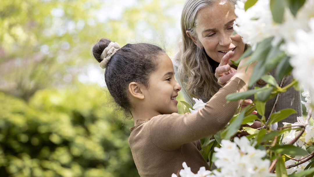 Child picking flowers with elderly woman